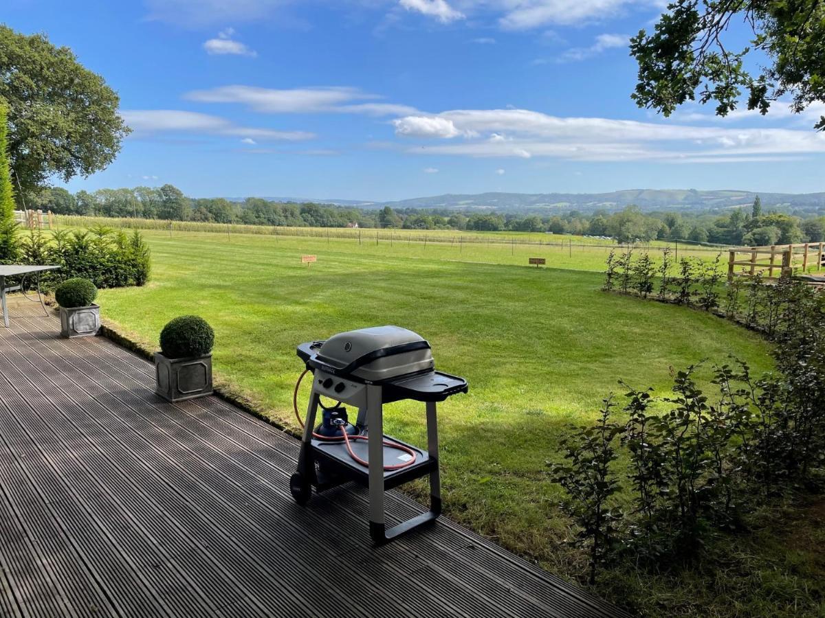Stunning Cabin With Incredible Views Near Goodwood Rogate エクステリア 写真