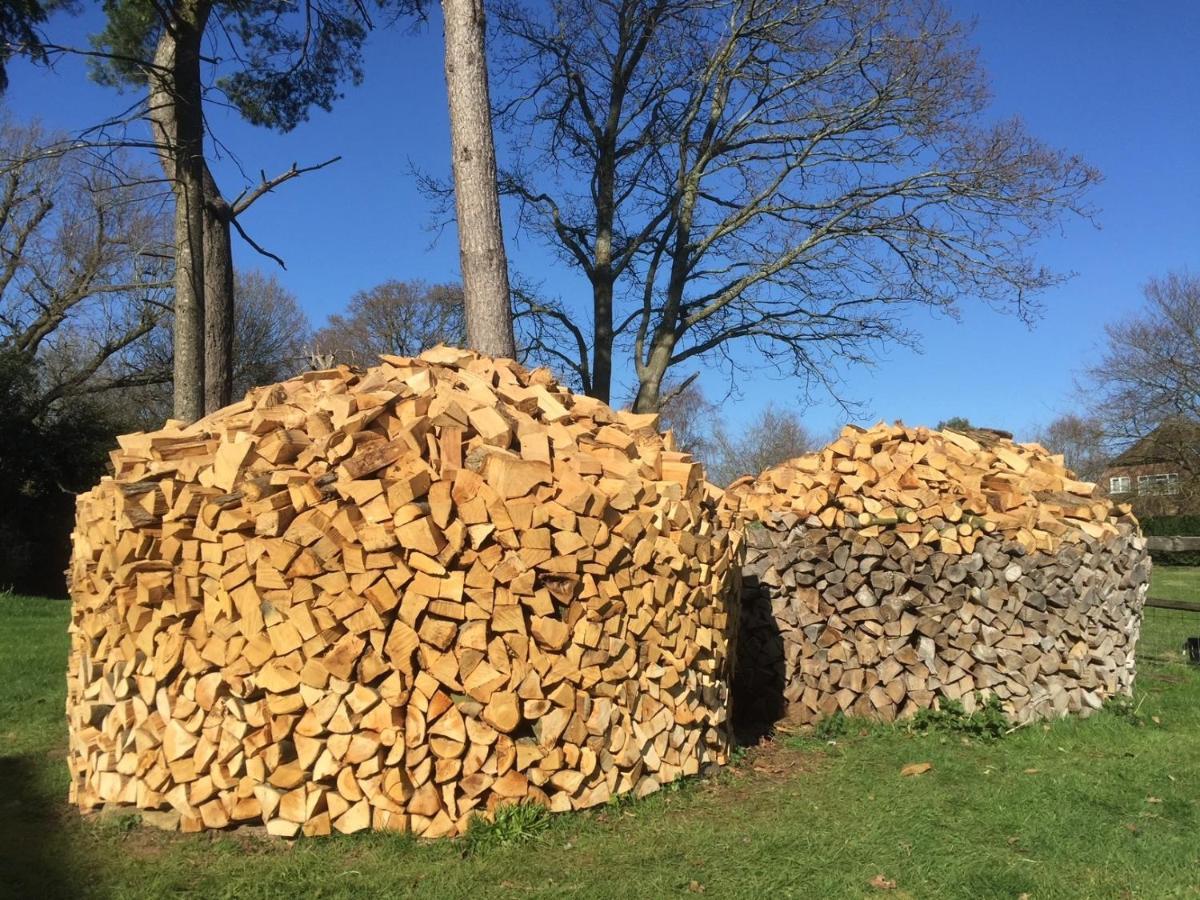 Stunning Cabin With Incredible Views Near Goodwood Rogate エクステリア 写真