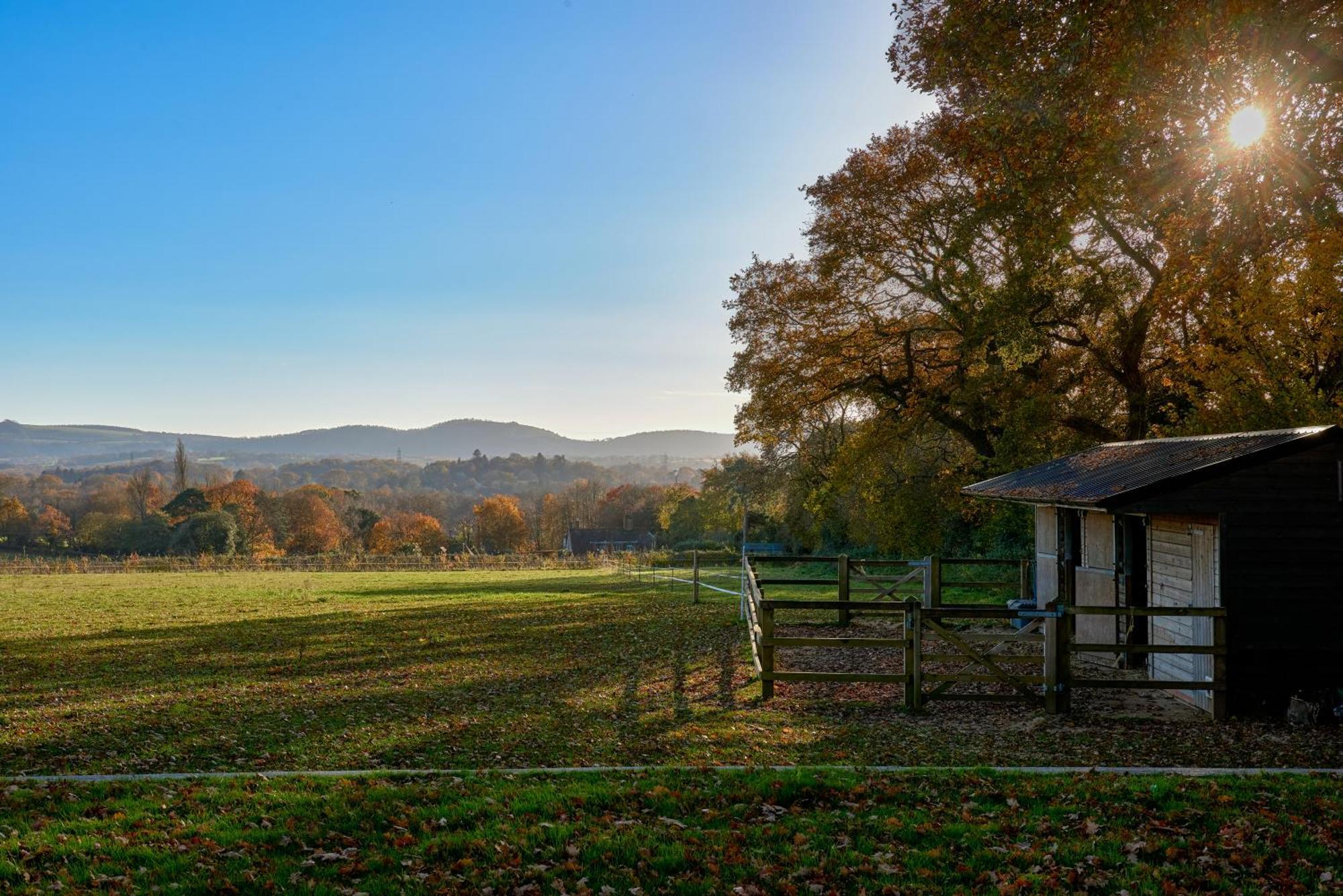 Stunning Cabin With Incredible Views Near Goodwood Rogate エクステリア 写真