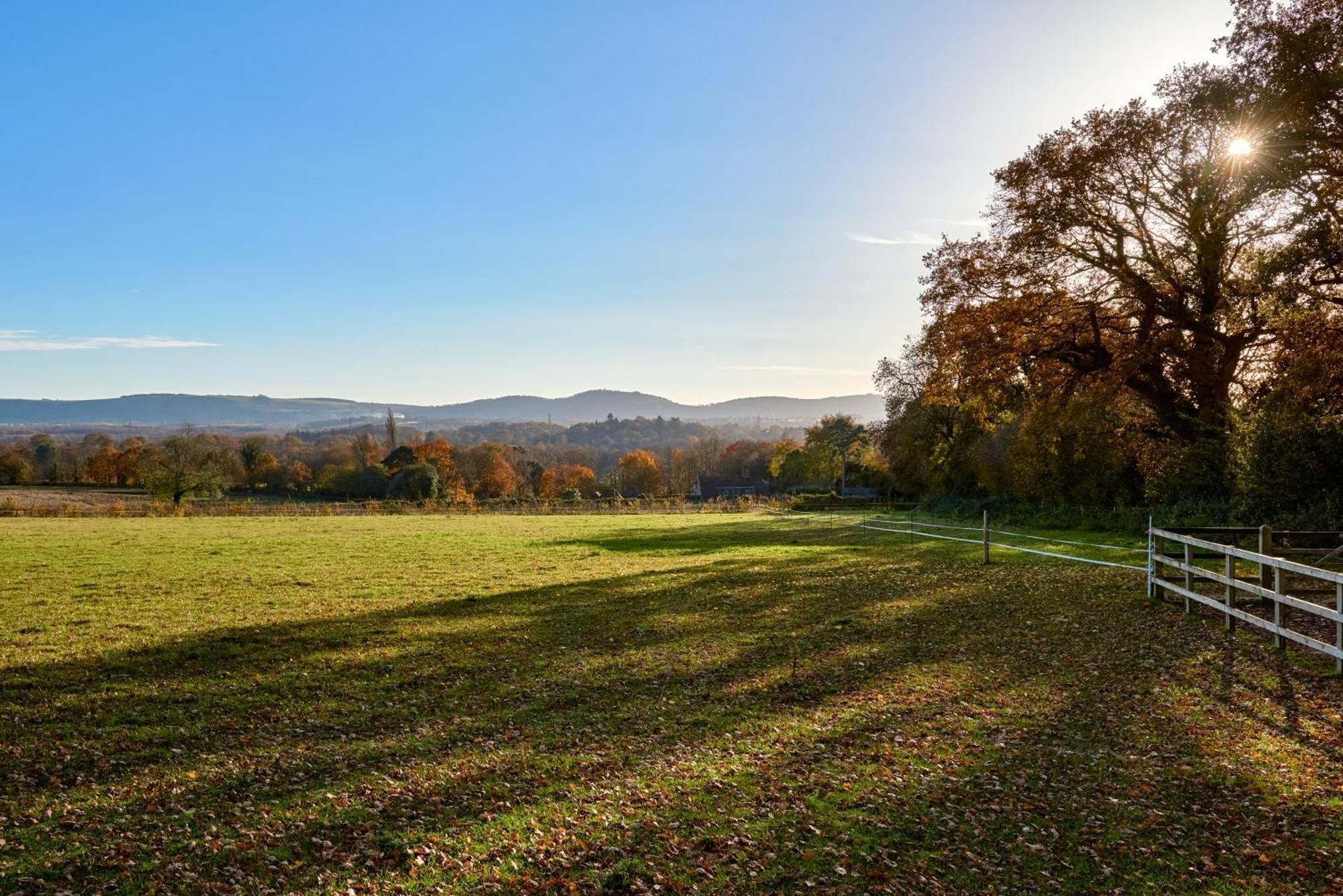 Stunning Cabin With Incredible Views Near Goodwood Rogate エクステリア 写真