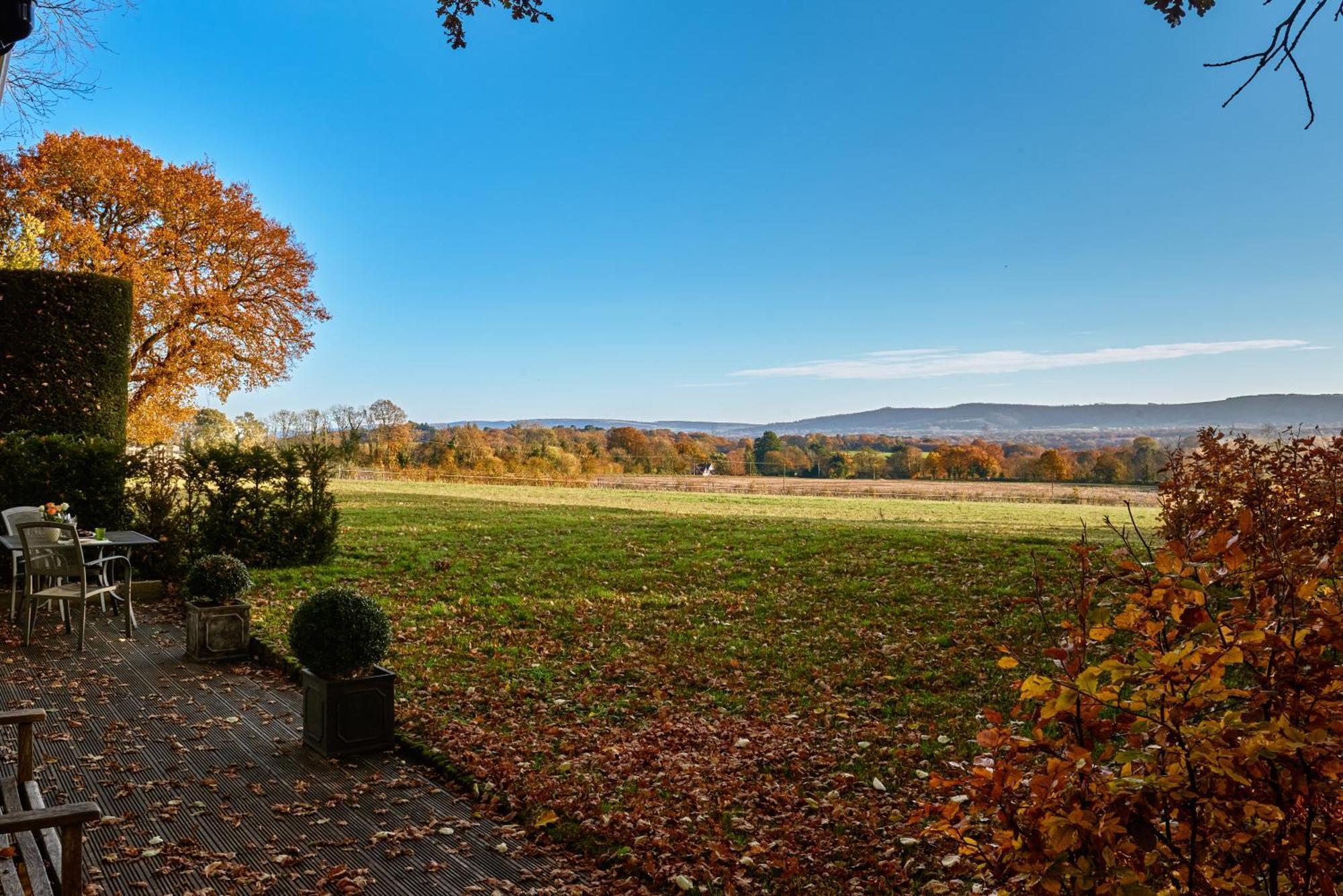 Stunning Cabin With Incredible Views Near Goodwood Rogate エクステリア 写真