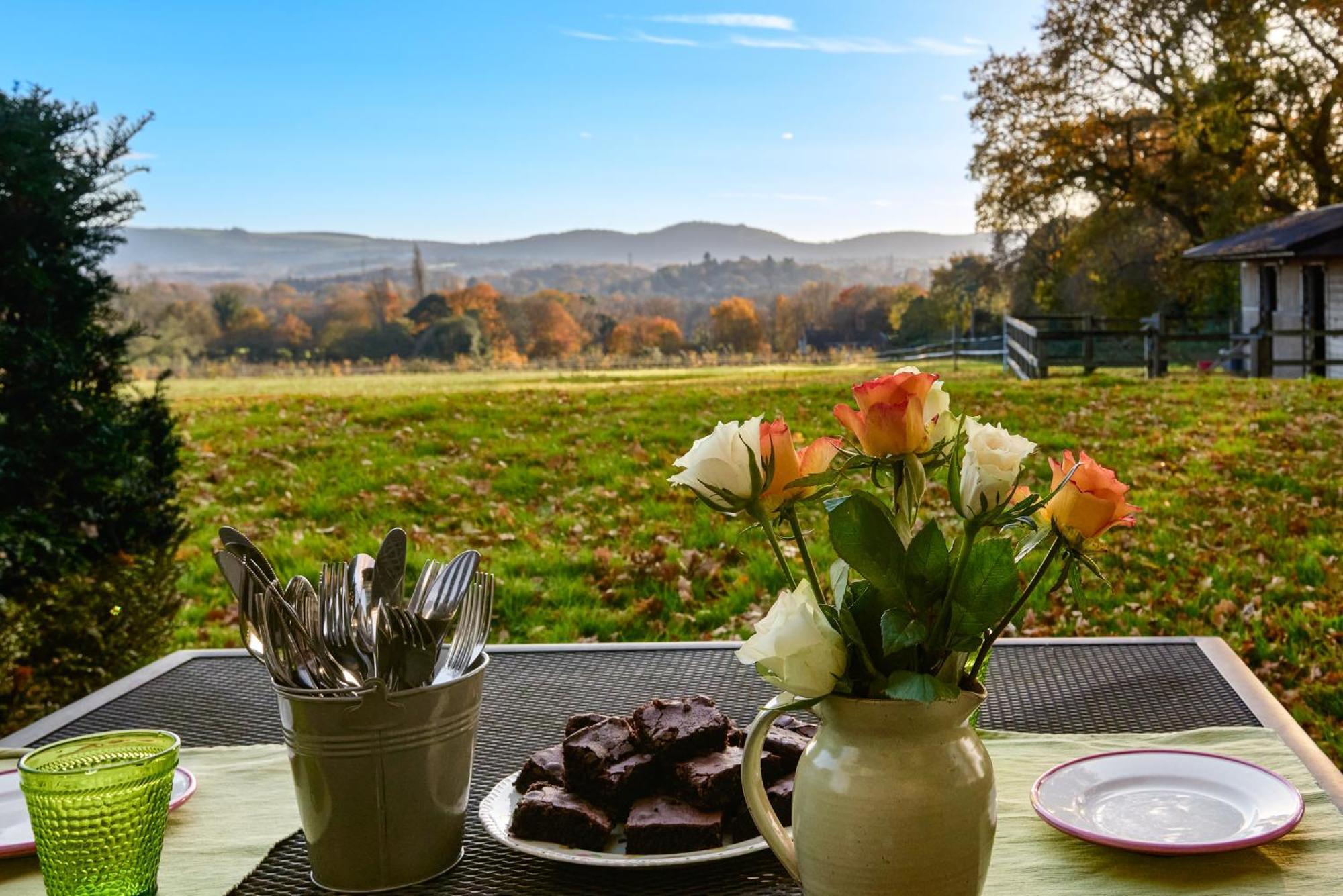 Stunning Cabin With Incredible Views Near Goodwood Rogate エクステリア 写真